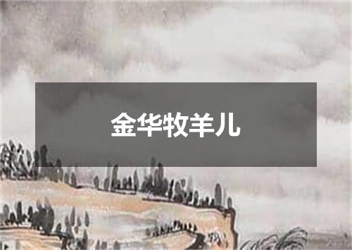 金华牧羊儿