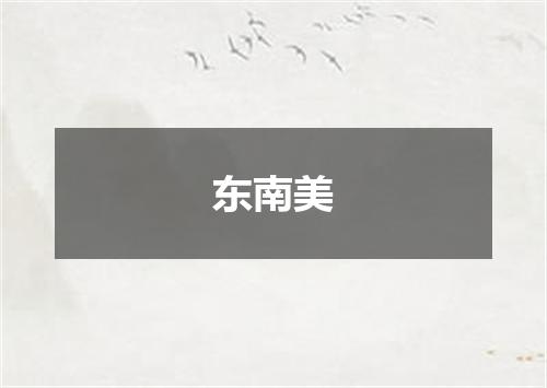 东南美