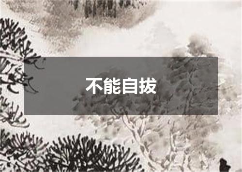 不能自拔