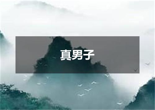 真男子