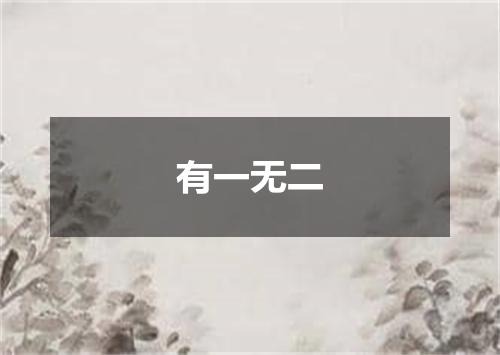 有一无二