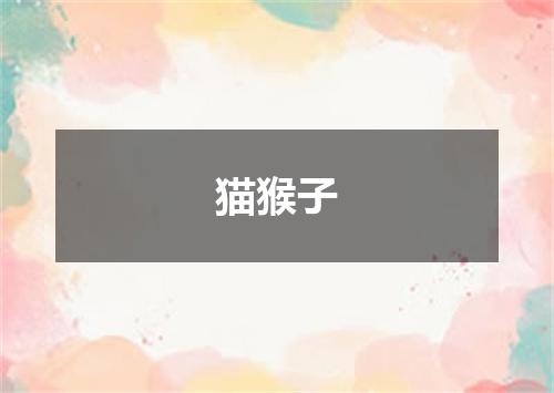 猫猴子