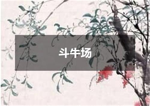 斗牛场