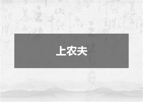 上农夫