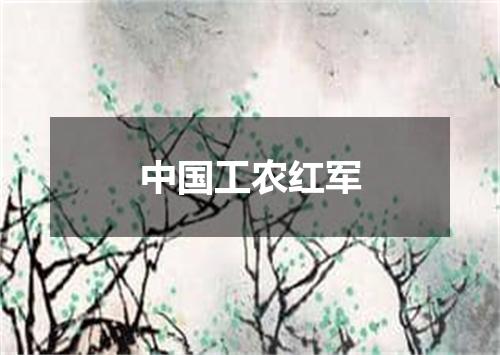 中国工农红军