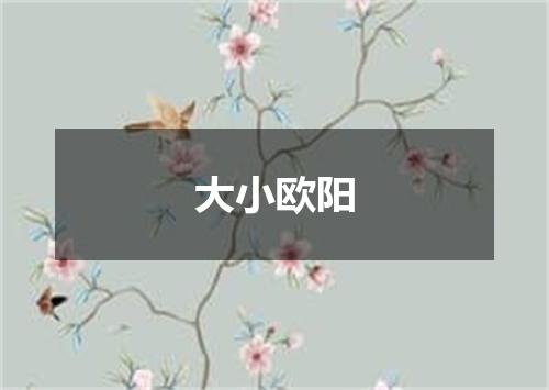 大小欧阳