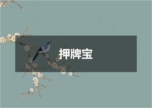 押牌宝