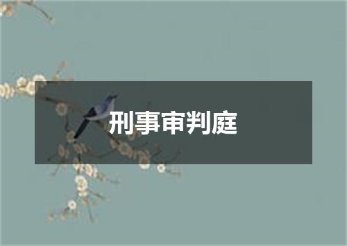 刑事审判庭