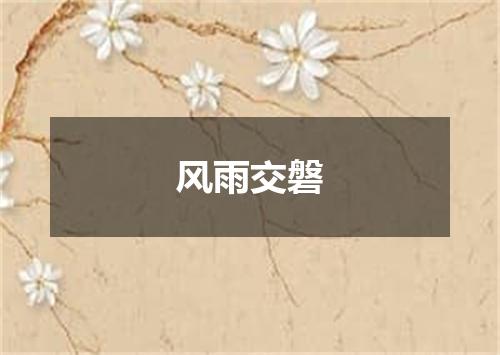 风雨交磐