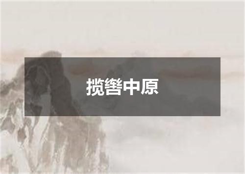 揽辔中原