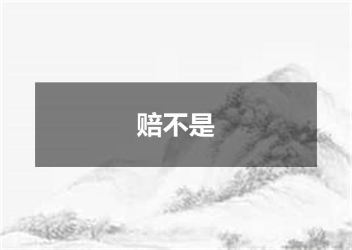 赔不是