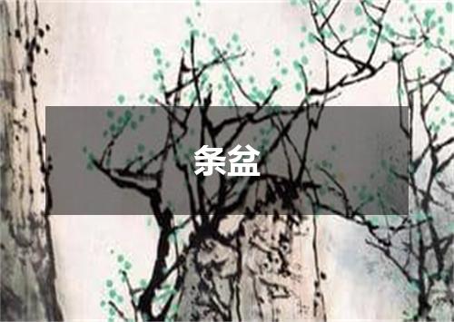 条盆