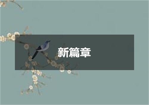 新篇章