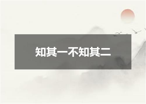 知其一不知其二