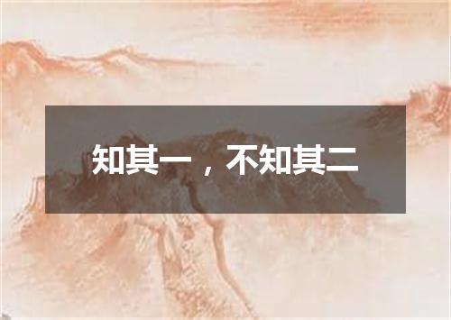 知其一，不知其二