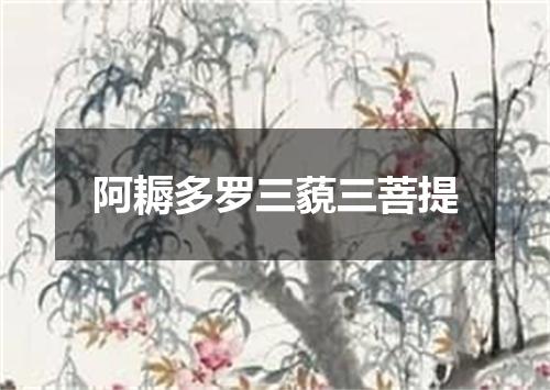阿耨多罗三藐三菩提