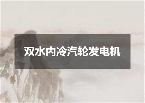 双水内冷汽轮发电机