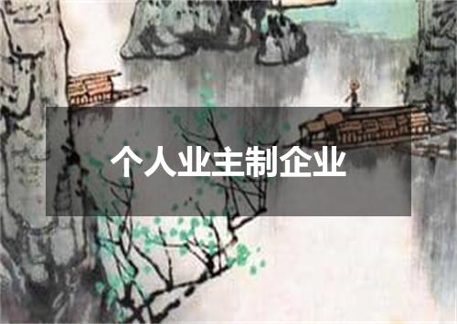 个人业主制企业