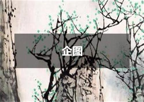 企图