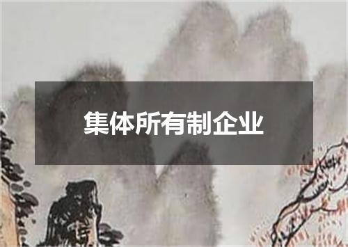 集体所有制企业