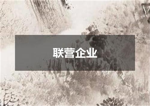 联营企业