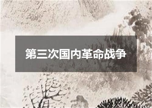 第三次国内革命战争