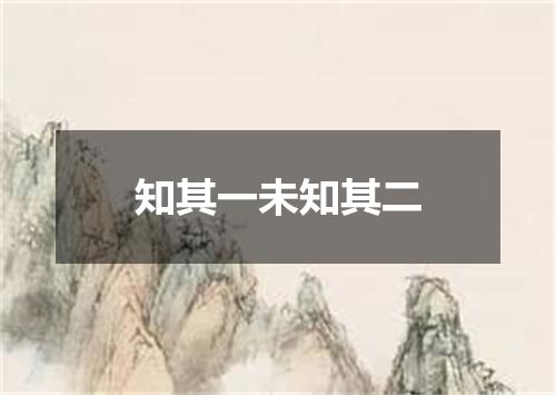 知其一未知其二