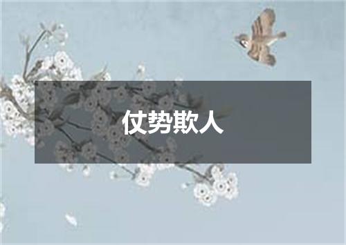 仗势欺人