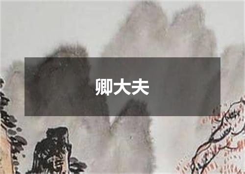 卿大夫