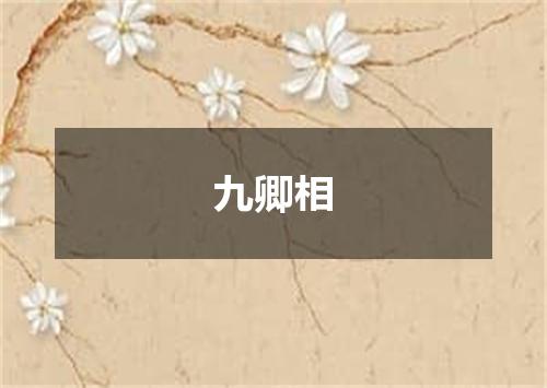 九卿相