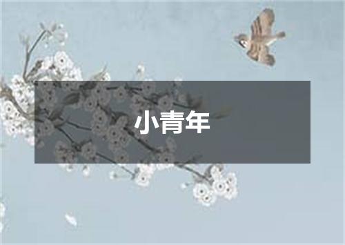 小青年