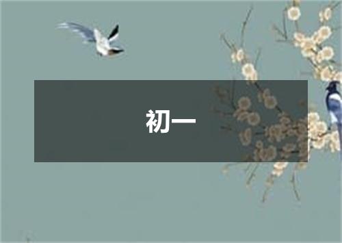 初一