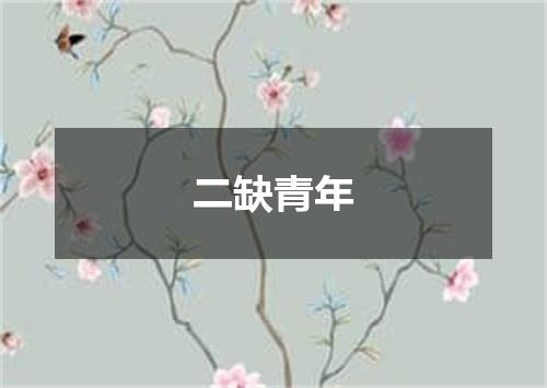 二缺青年