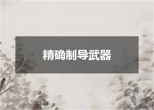 精确制导武器