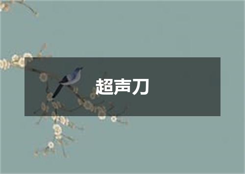 超声刀