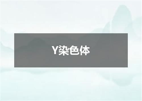 Y染色体