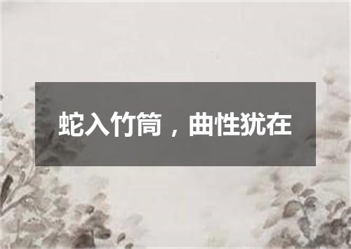 蛇入竹筒，曲性犹在