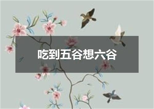 吃到五谷想六谷