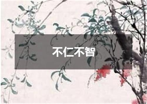 不仁不智