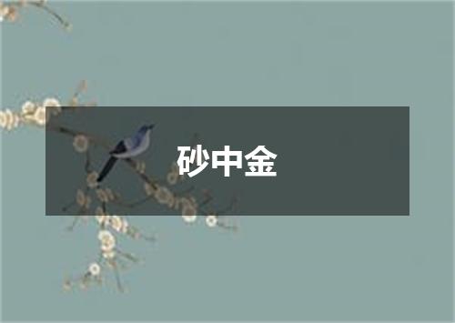砂中金