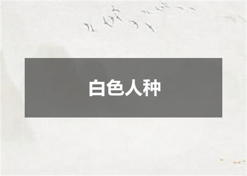 白色人种