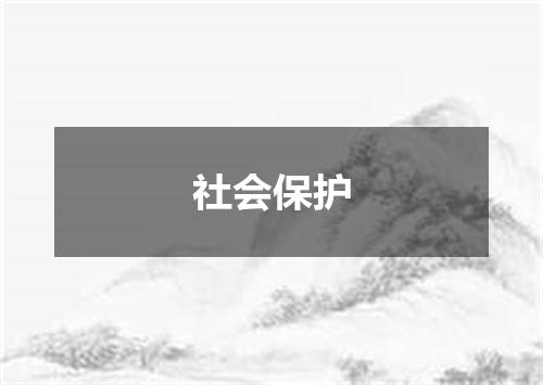 社会保护
