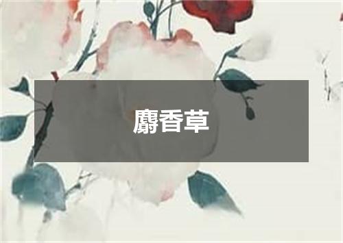 麝香草