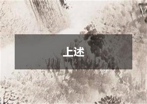 上述