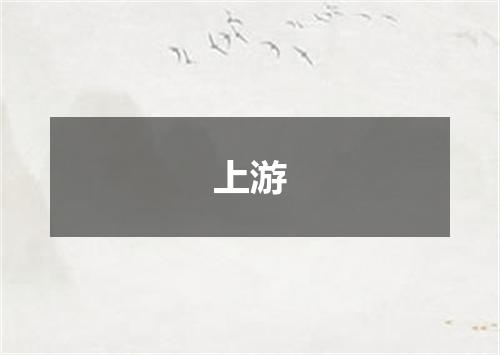 上游