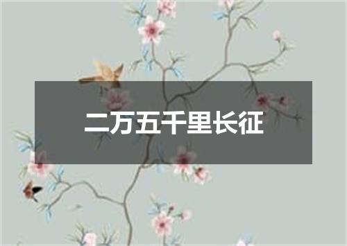 二万五千里长征