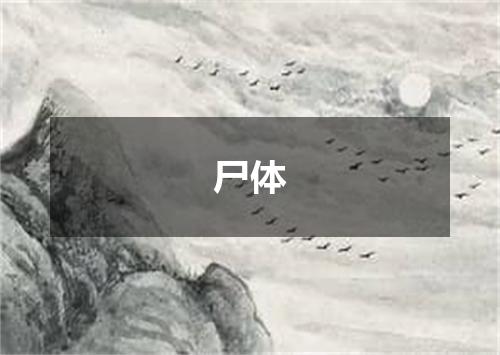 尸体