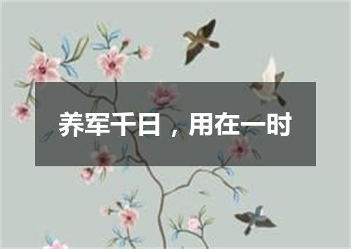 养军千日，用在一时