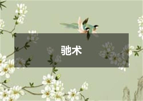 驰术