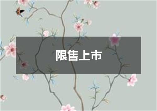 限售上市